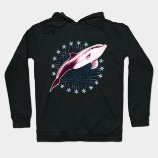 Dolphin Hoodie